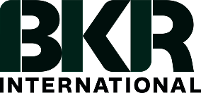 BKR International logo