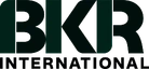 BKR International logo